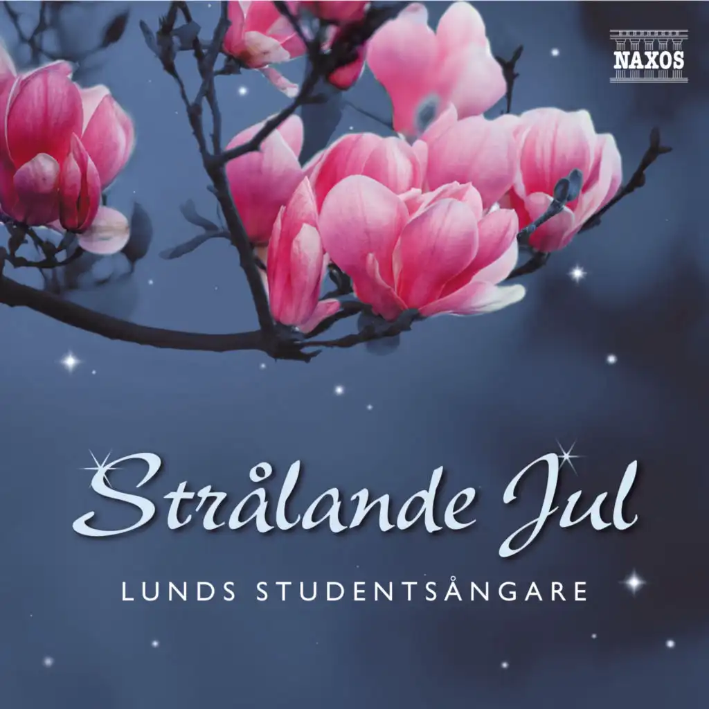 Strålande jul