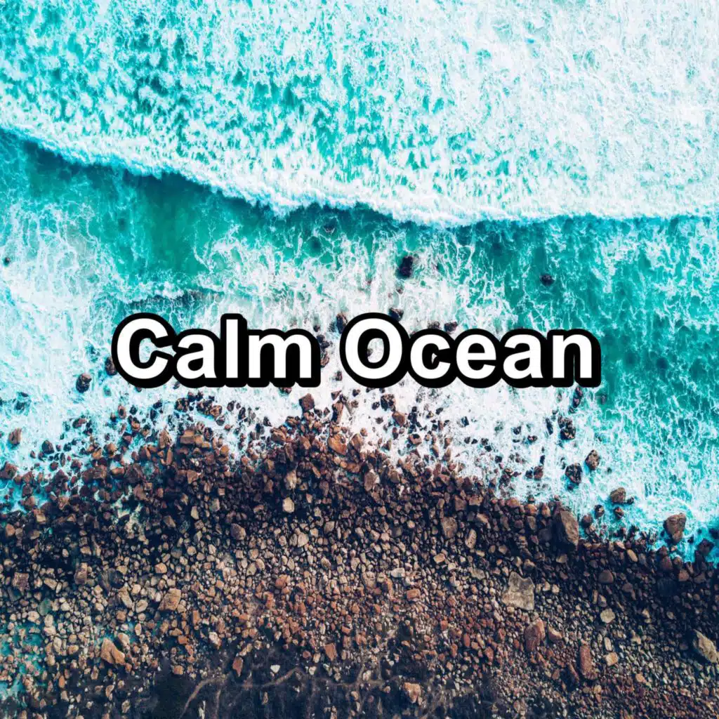 Wave Sounds Easy Listening Relaxing and Loopable 10 Hours