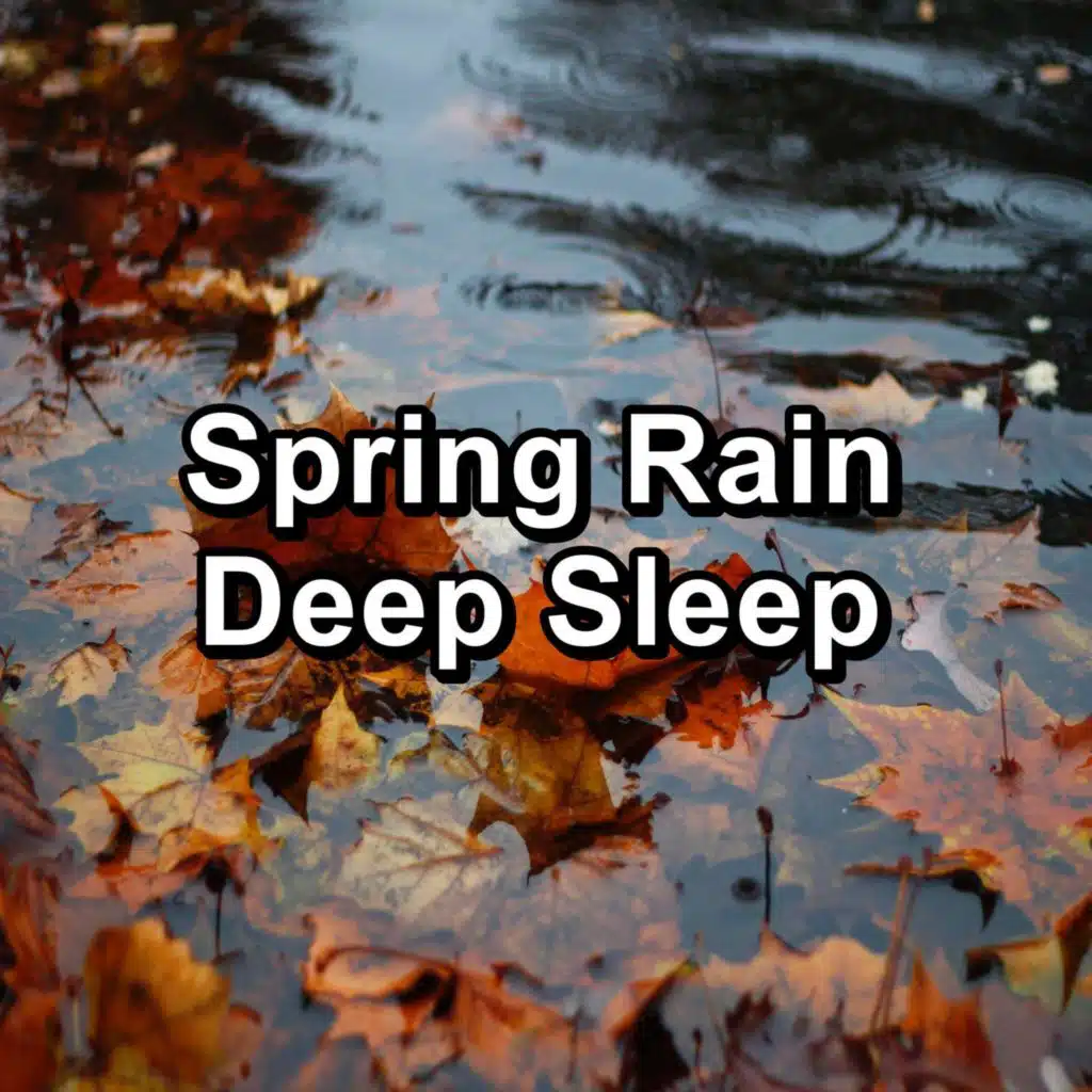 Spring Rain Deep Sleep