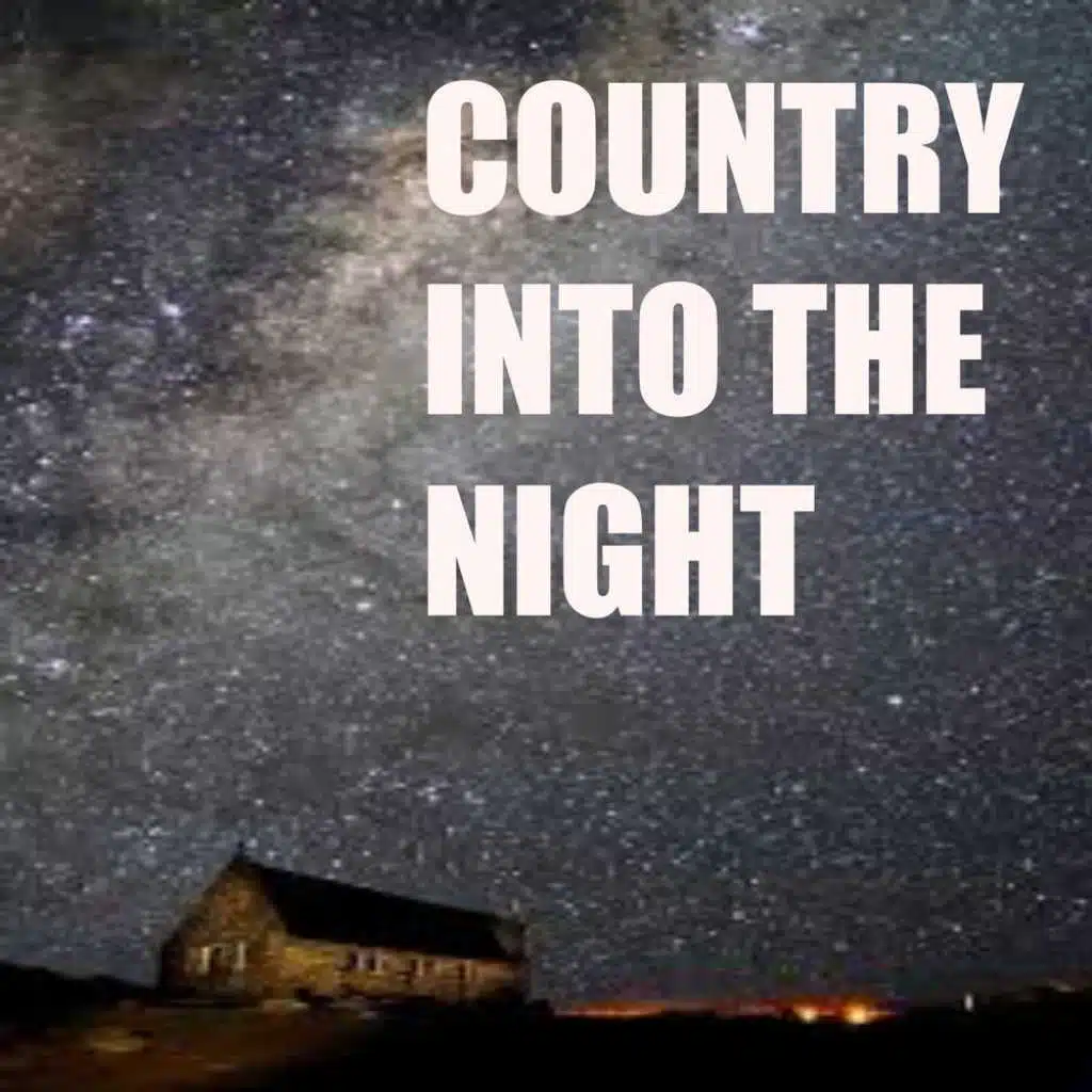 Country Into The Night