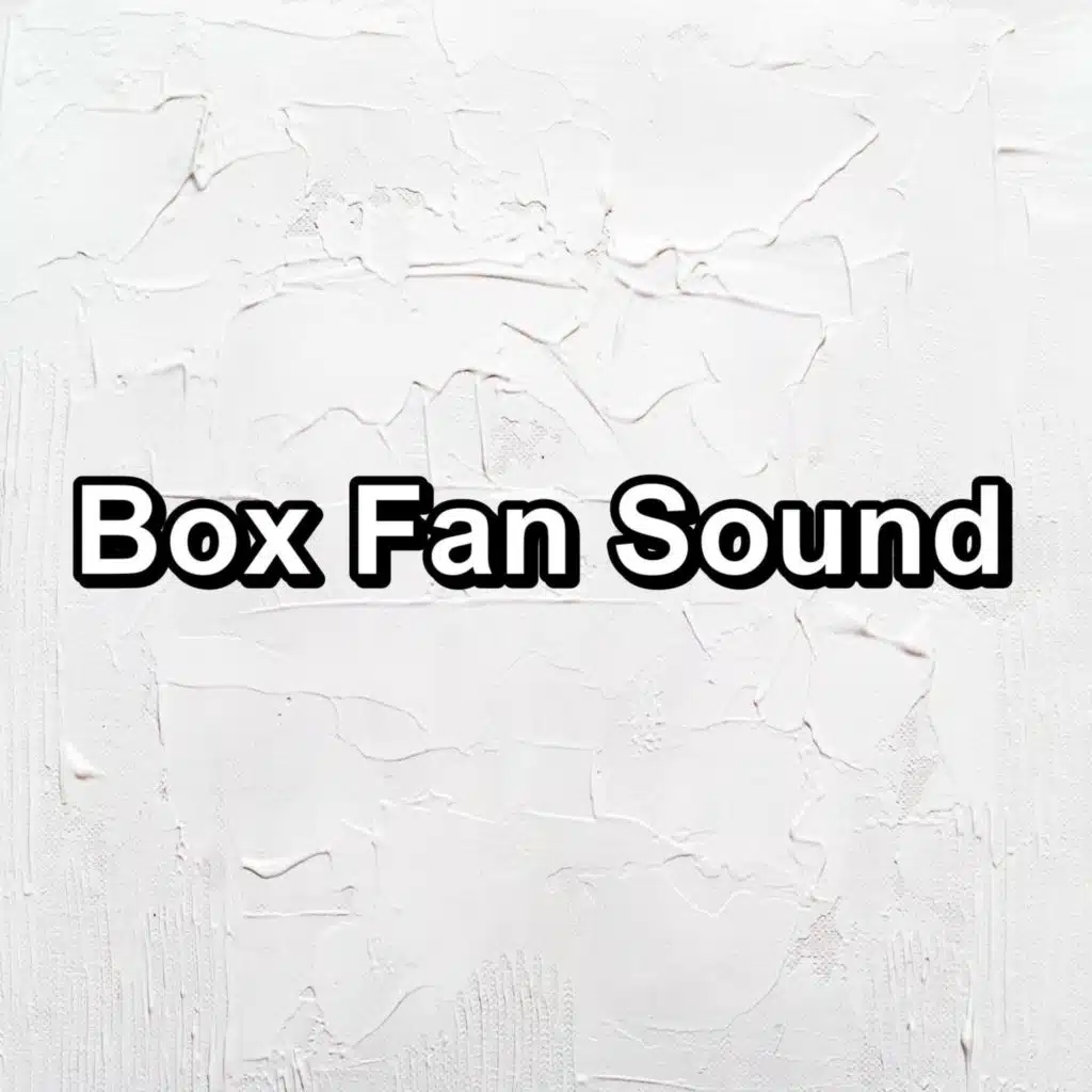 Box Fan Sound