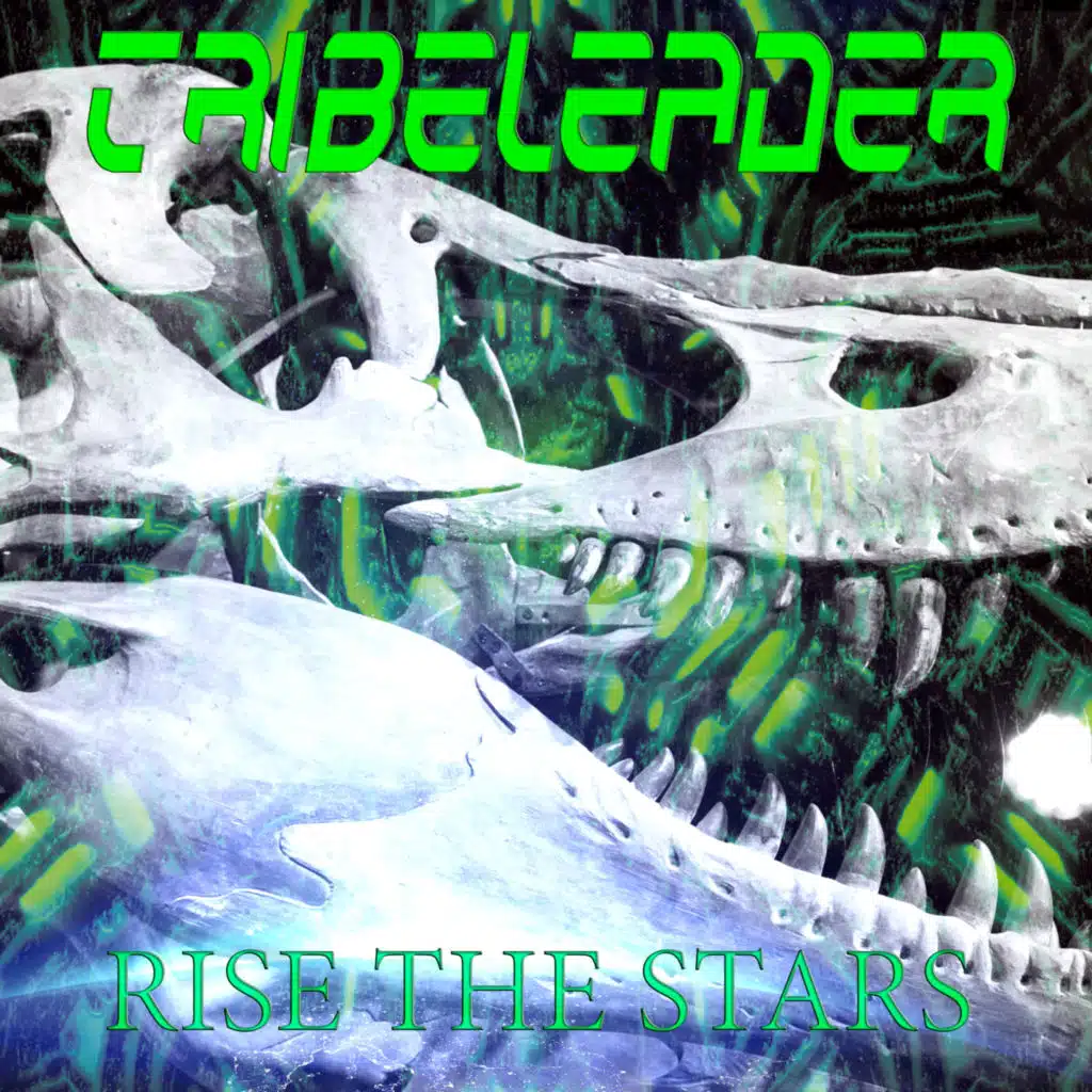 Rise The Stars (Instrumental)
