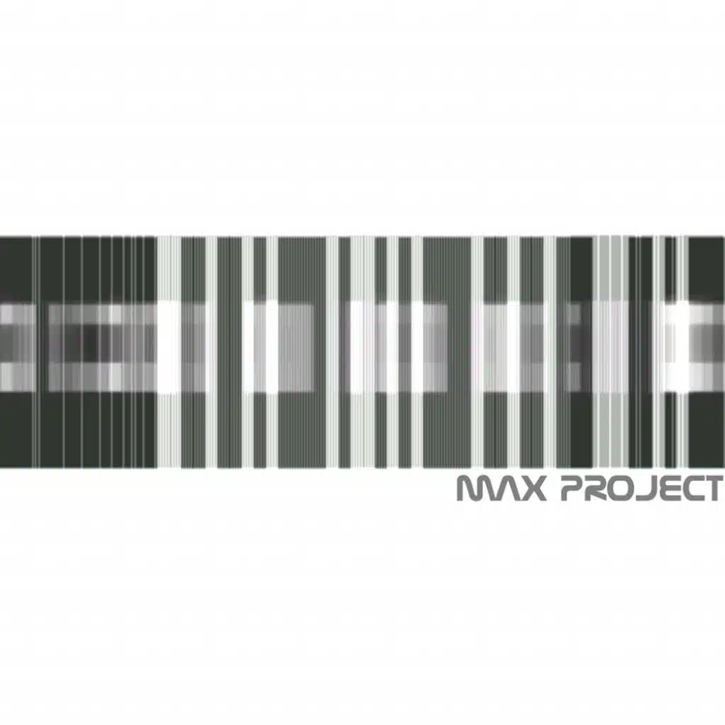 Max Project