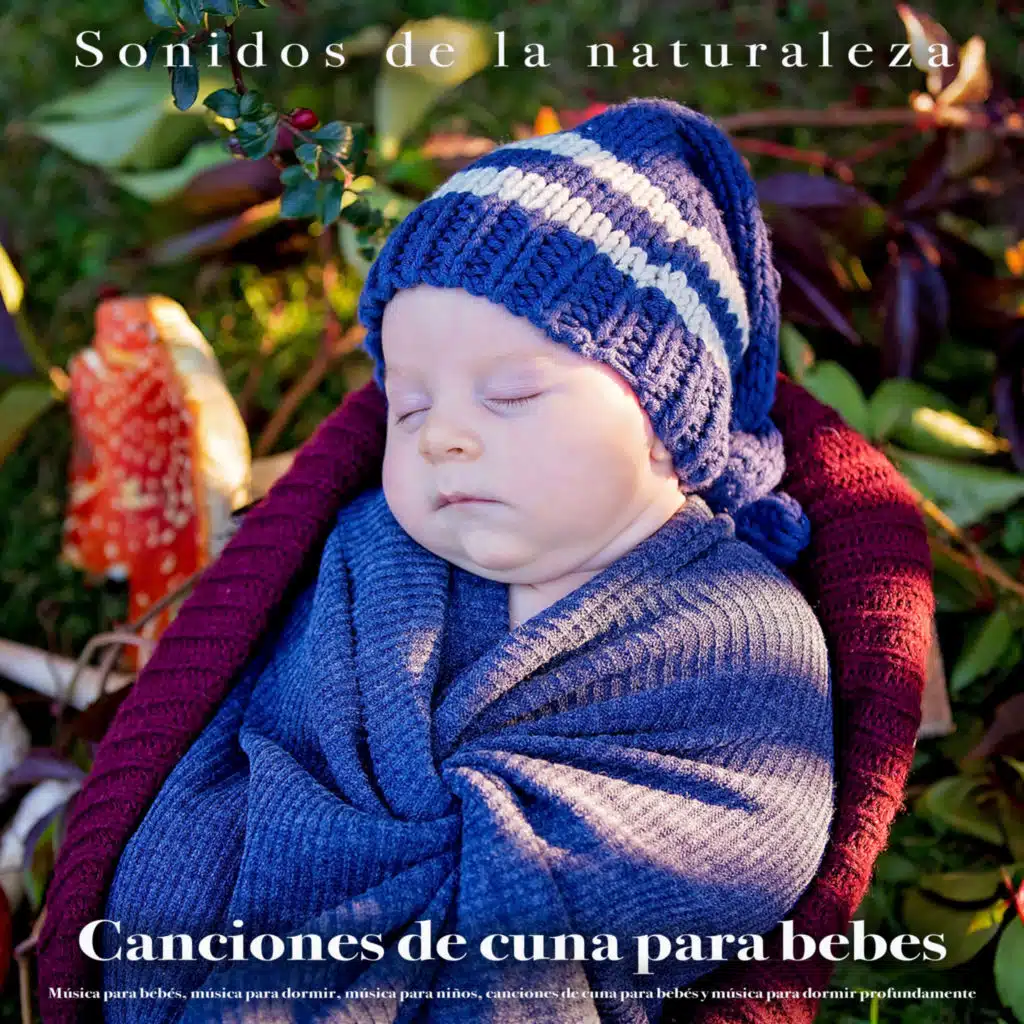 MÚSICA PARA NIÑOS, Canciones de cuna para bebés, Canciones Infantiles Para Niños