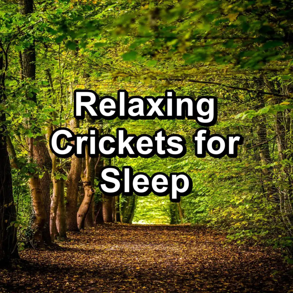 Relaxing Crickets for Sleep