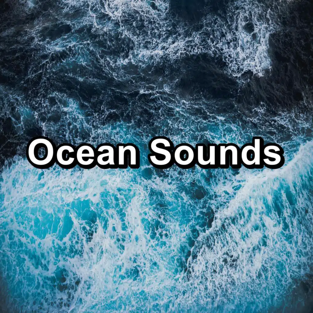 Ocean Sounds
