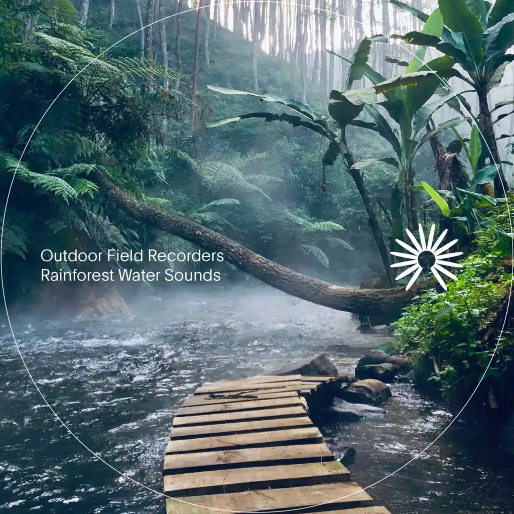 Rainforest Waterfall