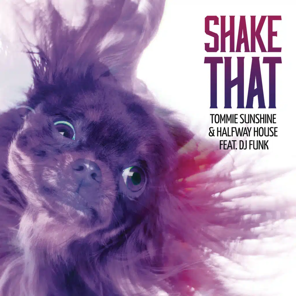 Shake That (Radio Edit) [feat. DJ Funk]
