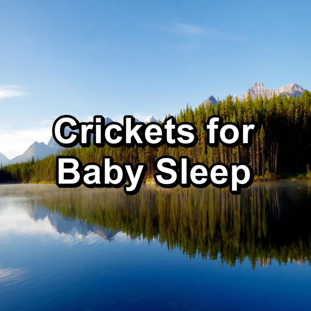 Crickets for Baby Sleep