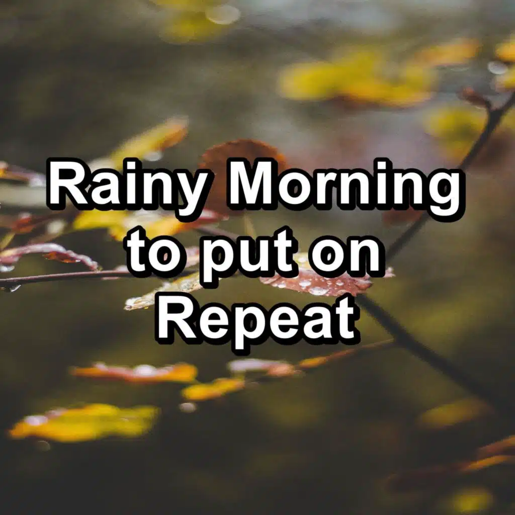 Soothing Rain Noise and Dusk