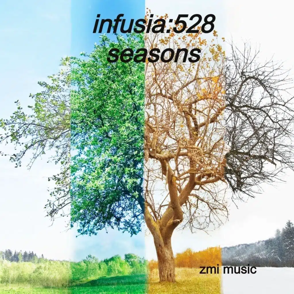 Infusia:528