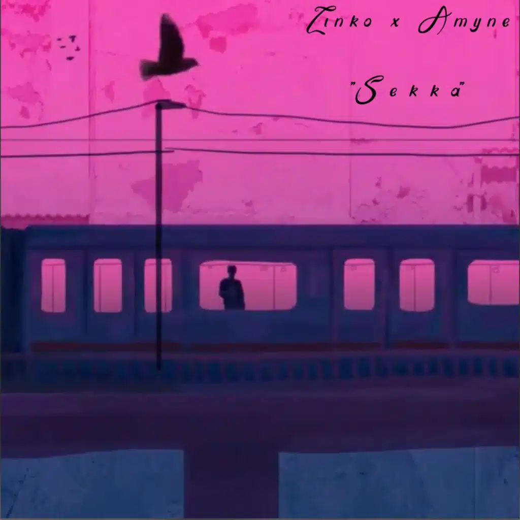 لينكو وأمين