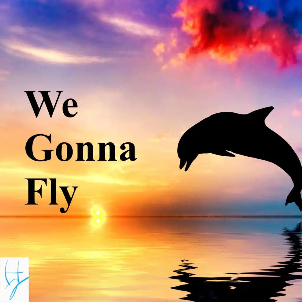 We Gonna Fly