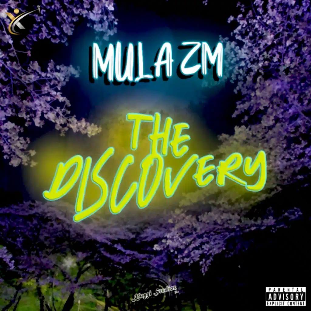 Southern Hype Freestyle