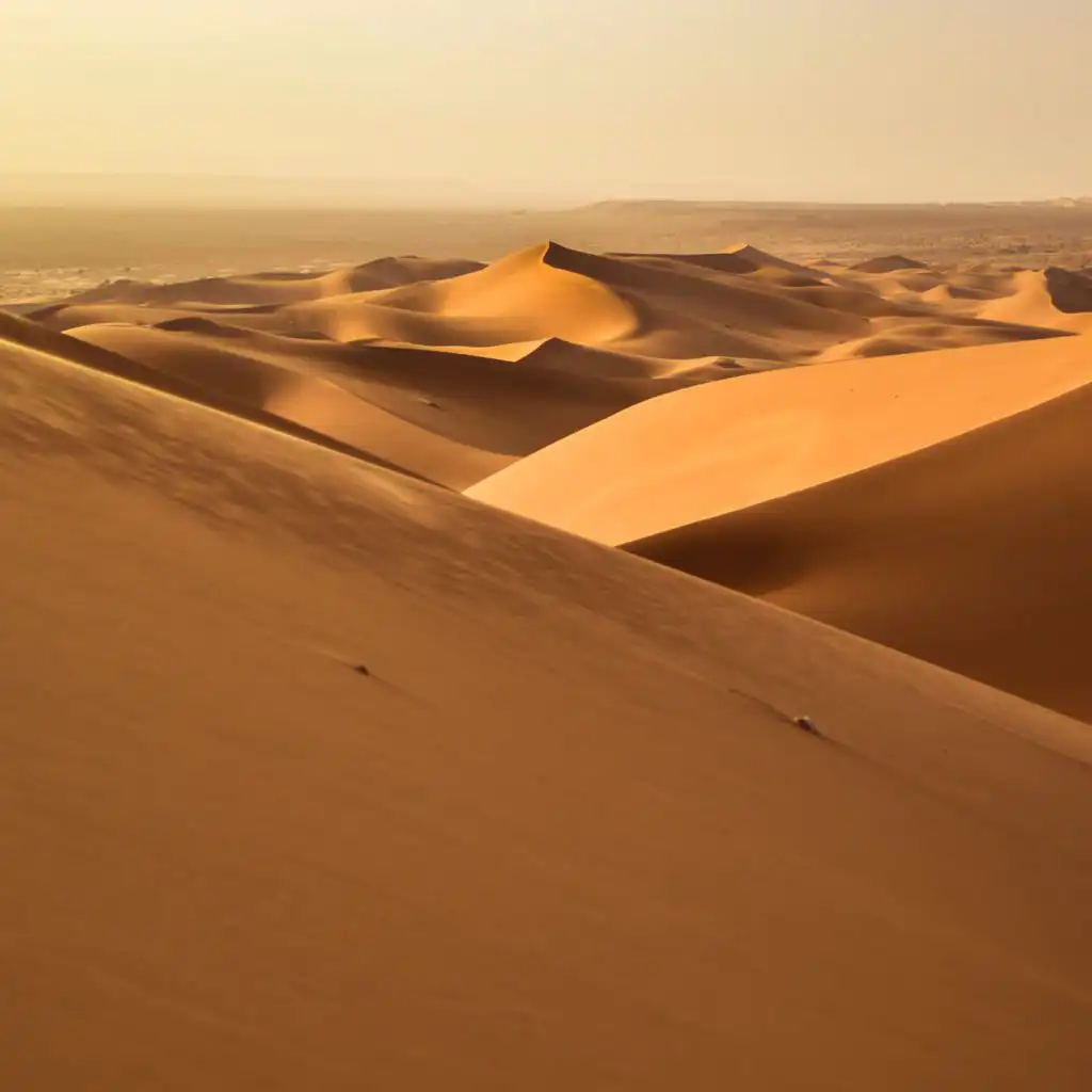 القمر لايغيب