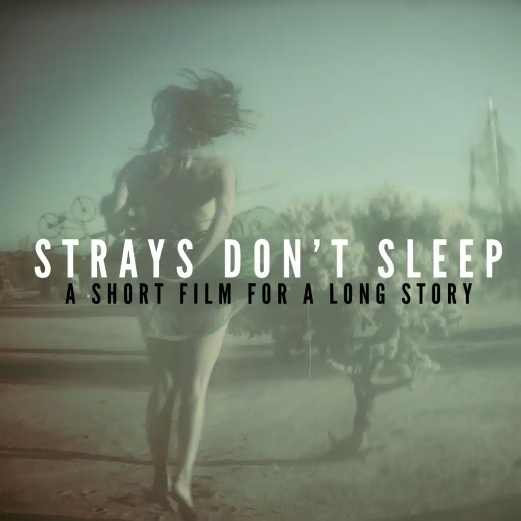 Strays Don't Sleep