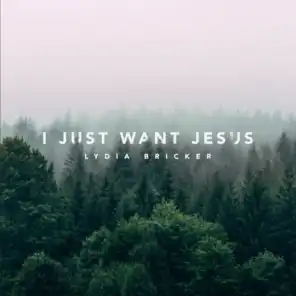 I Just Want Jesus