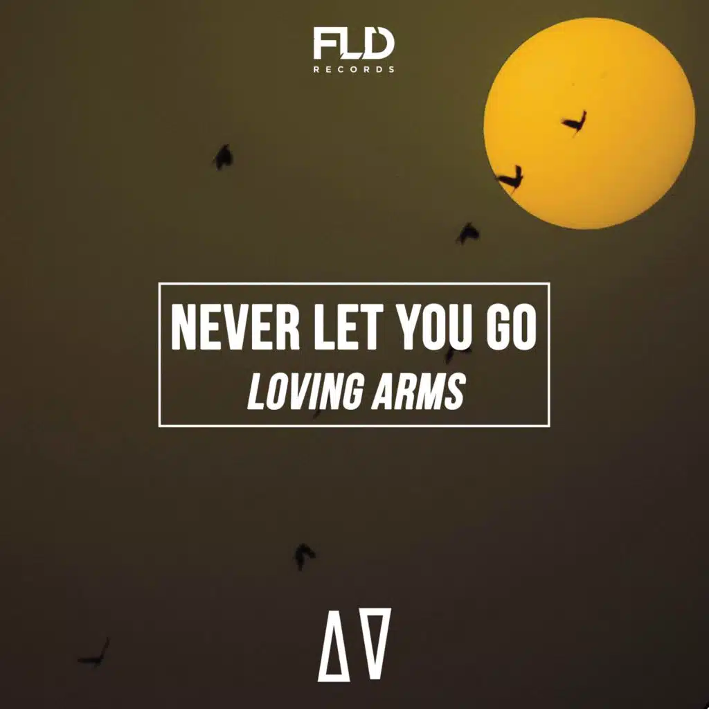 Never Let You Go (Radio)