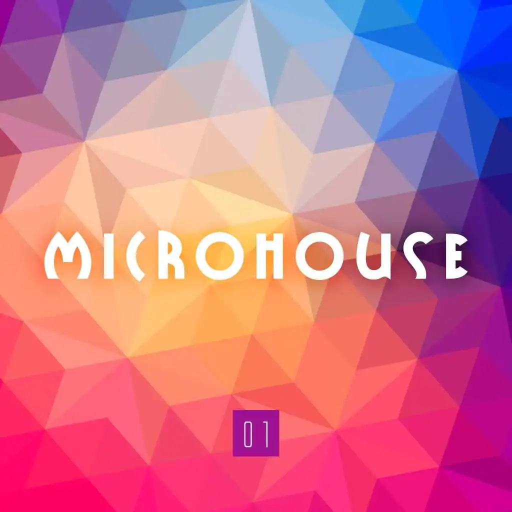 Microhouse 01
