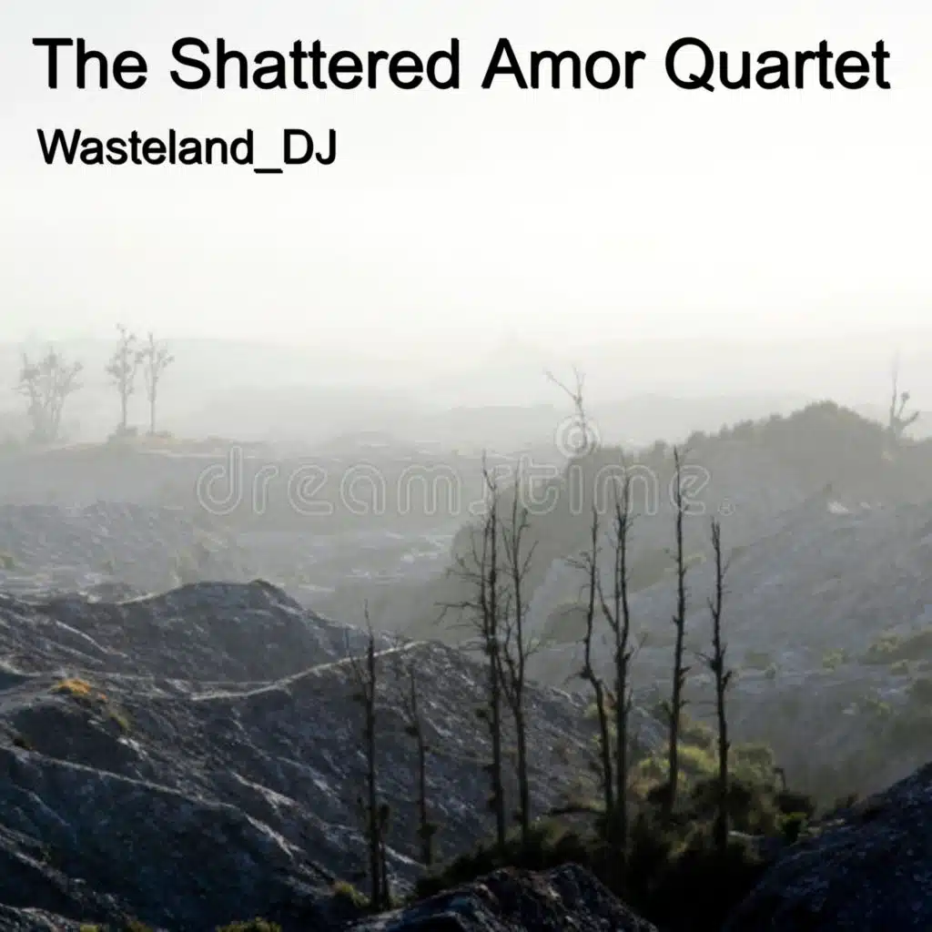 The Shattered Amor Quartet