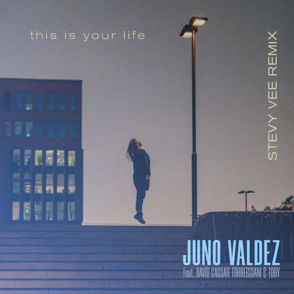 This Is Your Life (feat. David Cassar Torreggiani & Toby Stevy Vee Remix) (Stevy Vee Remix)