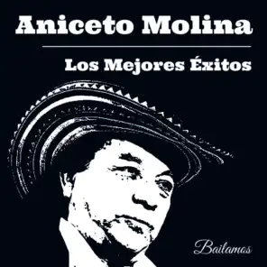 Los Mejores Éxitos de Aniceto Molina