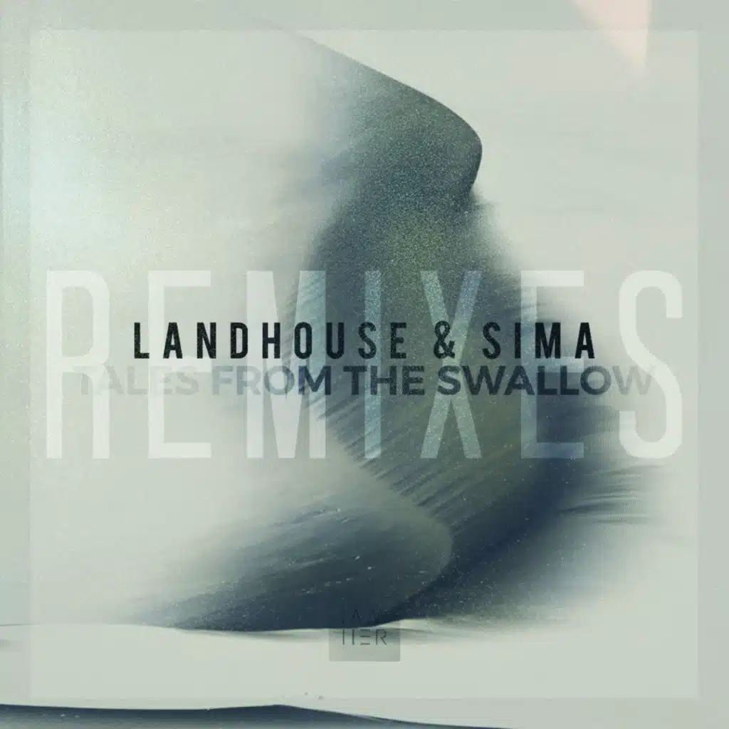 Tales from the Swallow (Pandhora Remix)