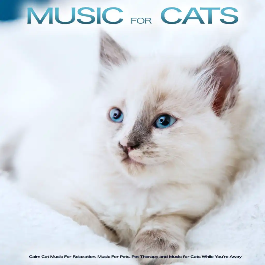 Music for Cats: Calm Cat Music For Relaxation, Music For Pets, Pet Therapy and Music for Cats While You're Away