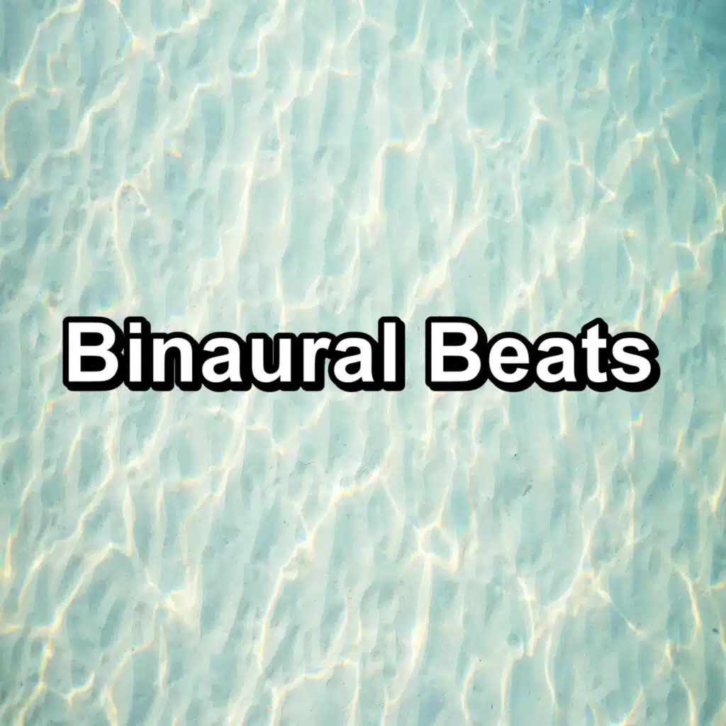 Soft Fan Noise Hair Dryer For in the Spa