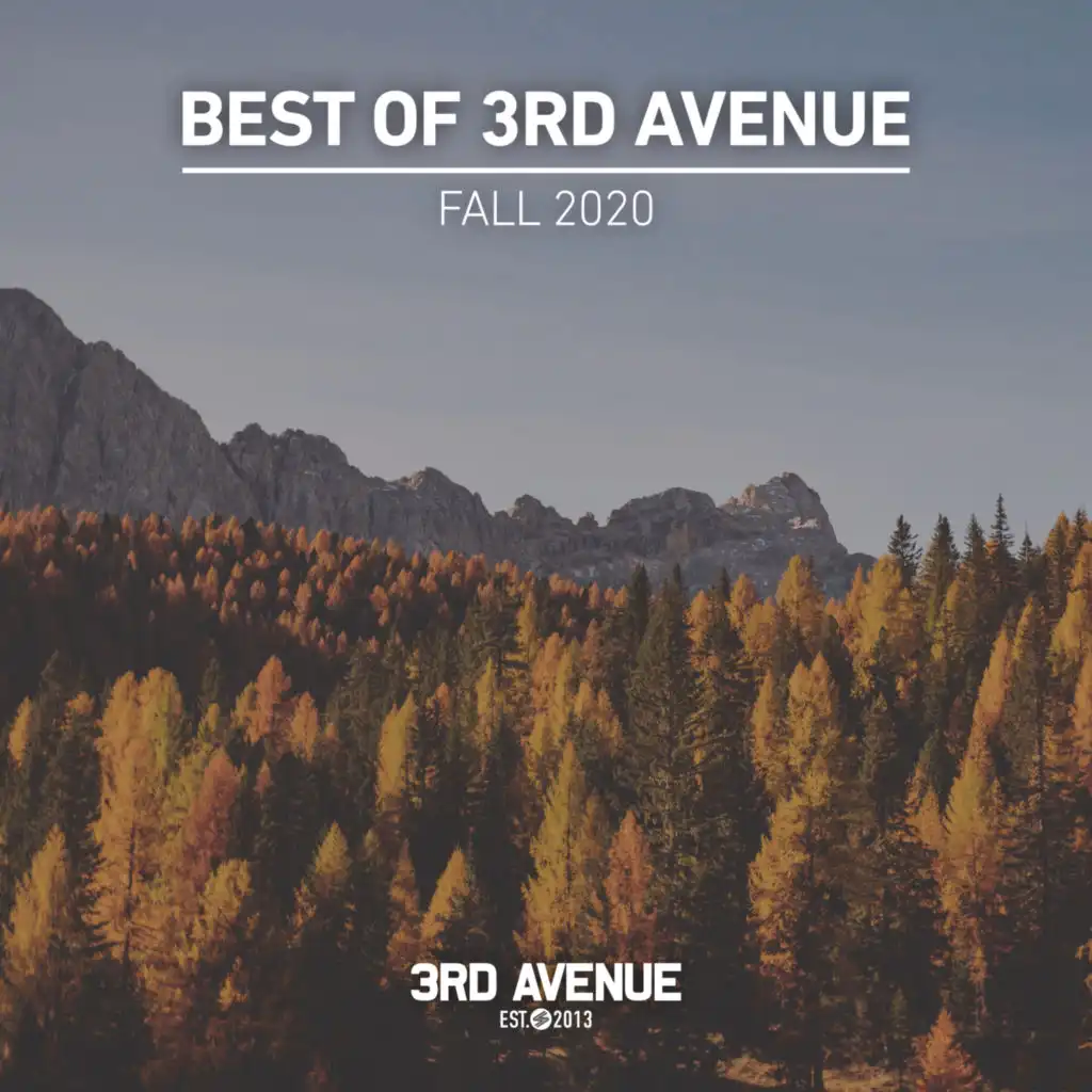 Best of 3rd Avenue | Fall 2020 (feat. Forerunners & Hot Tuneik)