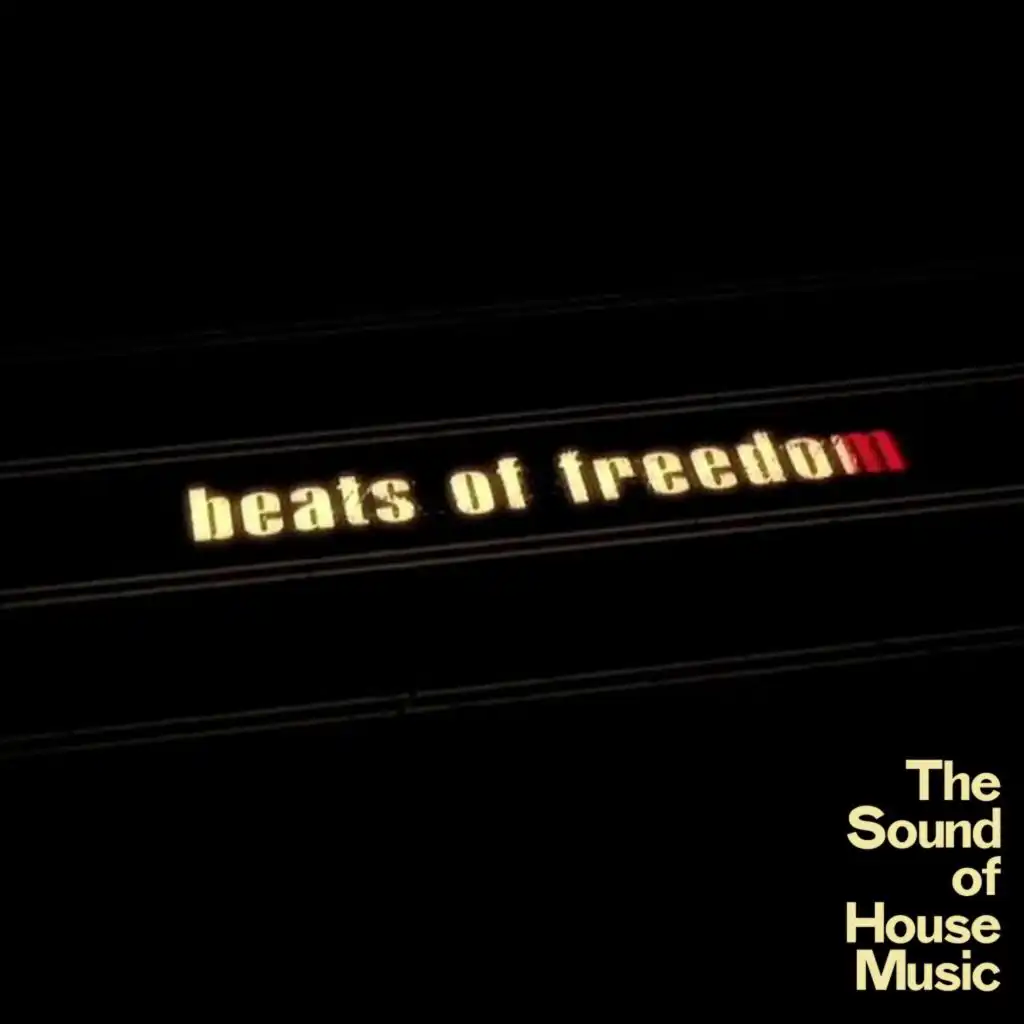 Noise (Buck Hino's House Mix)
