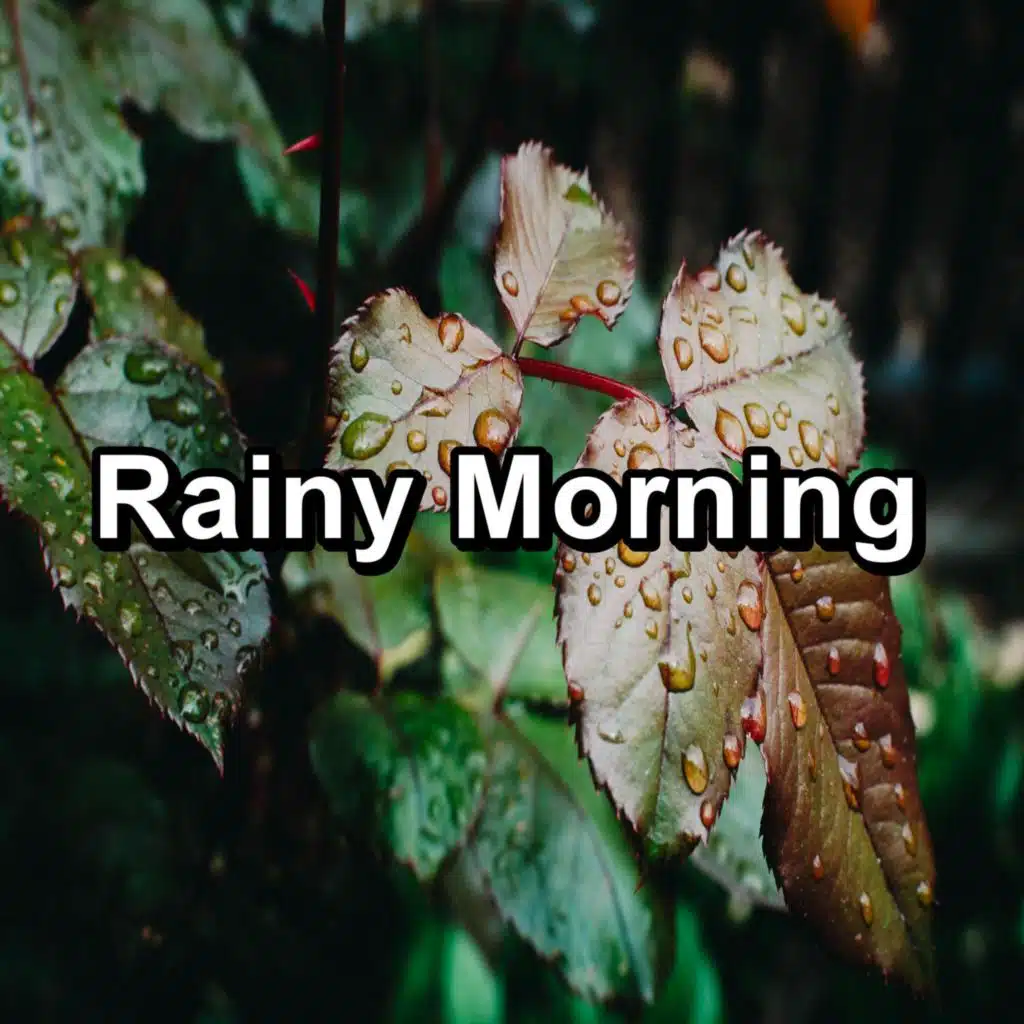 Rain Forest & Raindrops Sleep