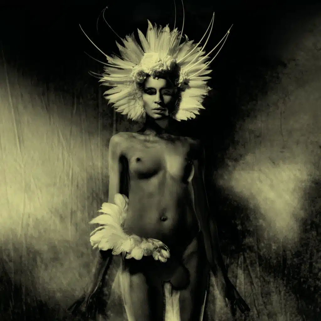 Where Did The Night Fall: Another Night Out