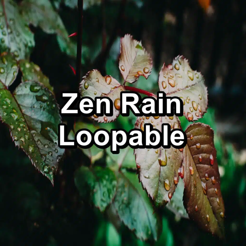 Zen Rain Loopable