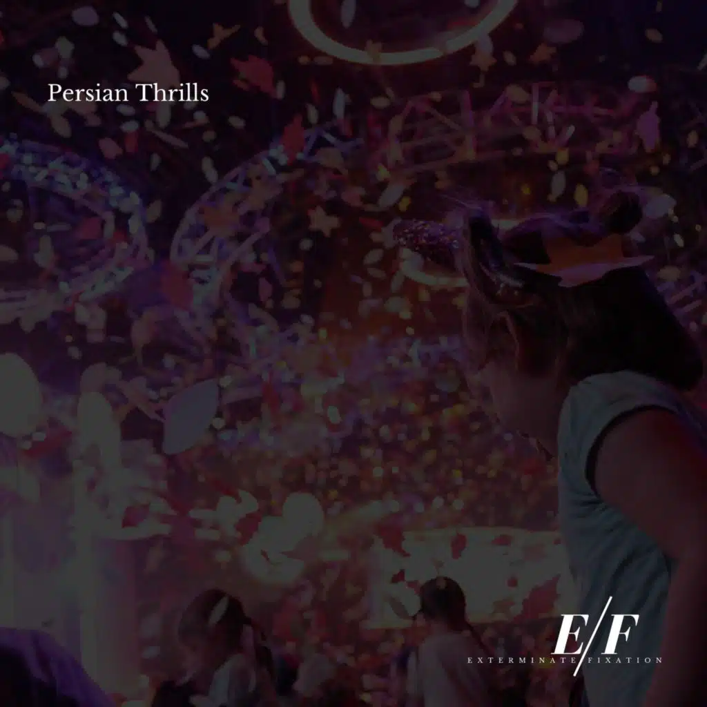 Harmonizer (Groovy EDM Festival Dubstep)