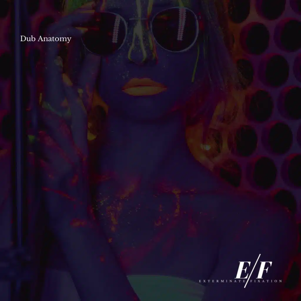 Harmonizer (Groovy EDM Festival Dubstep)