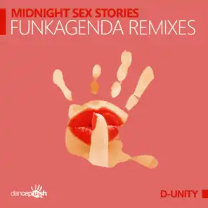Midnight Sex Stories (Funkagenda Radio Edit)