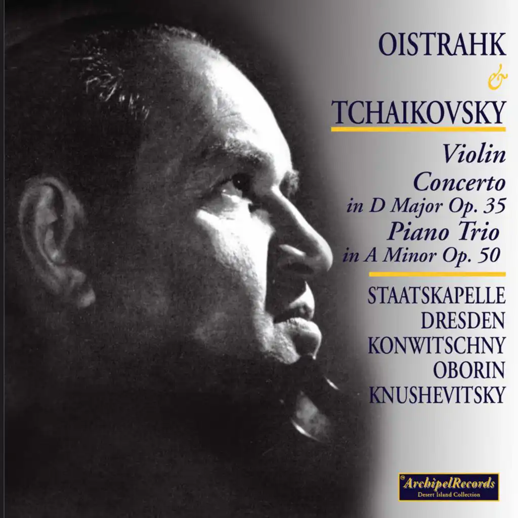 Violin Concerto in D Major, Op. 35, TH 59: I. Allegro moderato