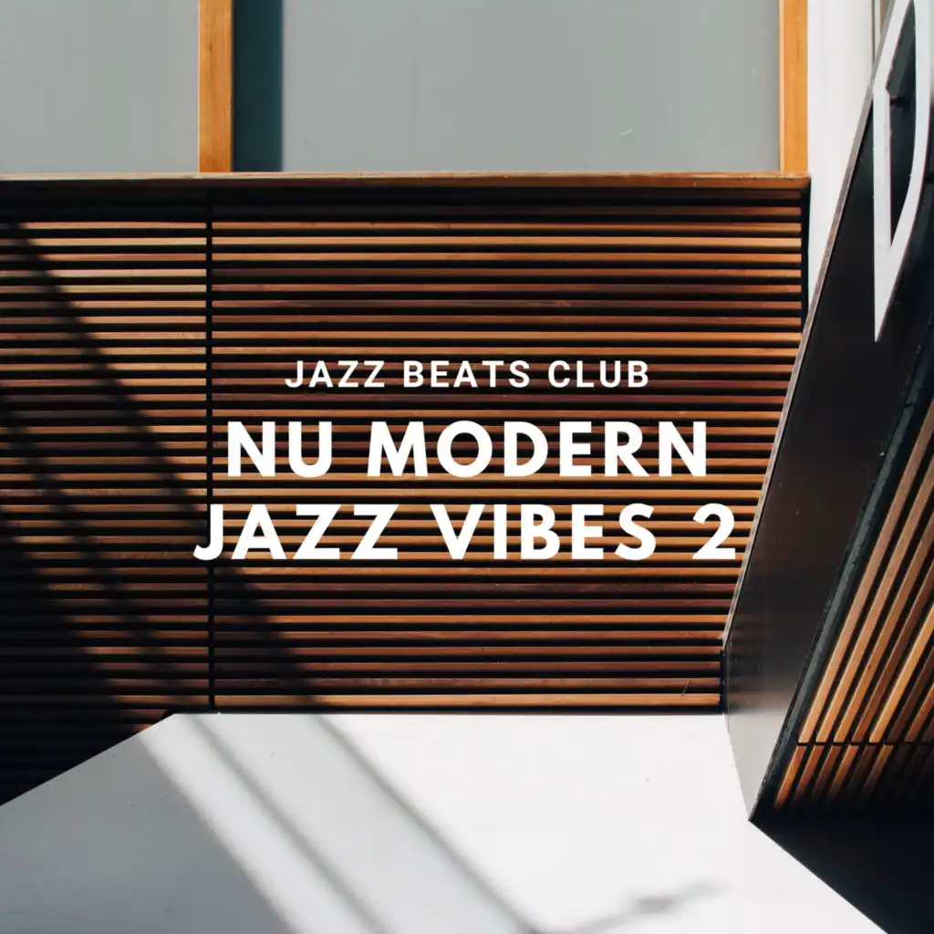 Nu Modern Jazz Vibes 2