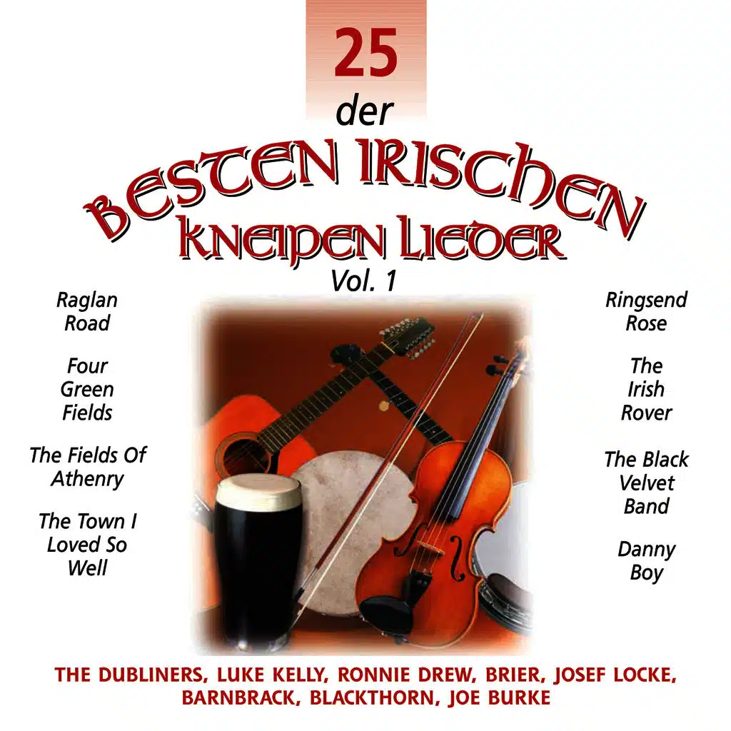 25 der Besten Irischen Kneipen Lieder, Vol. 1