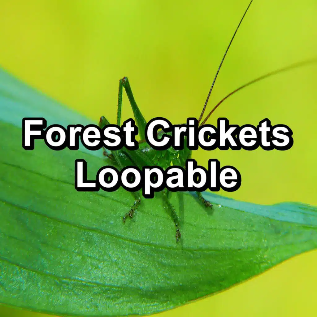 Crickets - Tinnitus Sleep Solution & 4D Nature Recordings