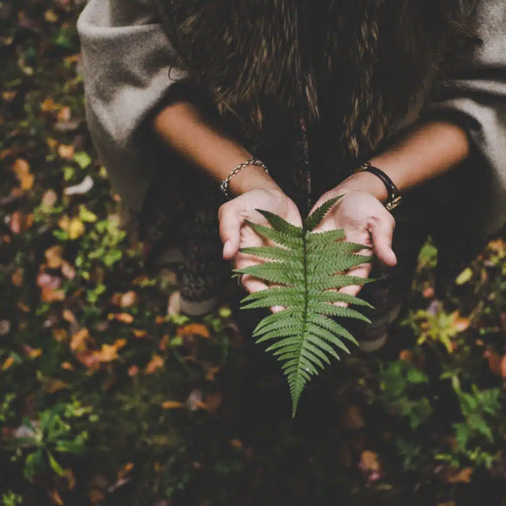 Calm & Summer Chillout Compilation