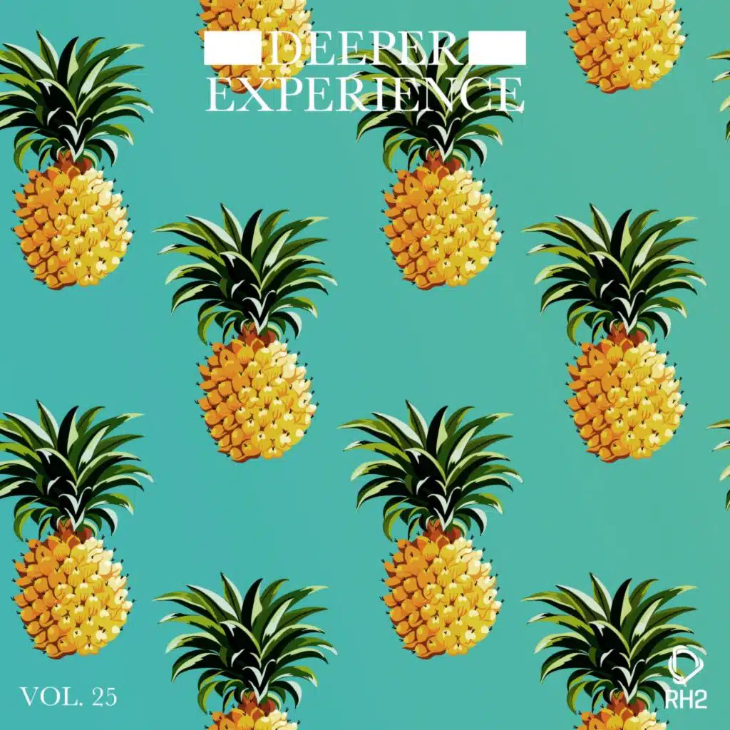 Deeper Experience, Vol. 25