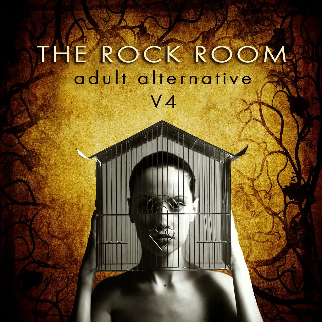 The Rock Room: Adult Alternative, Vol. 4