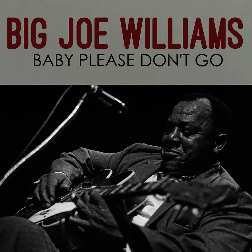 Baby Please Don't Go