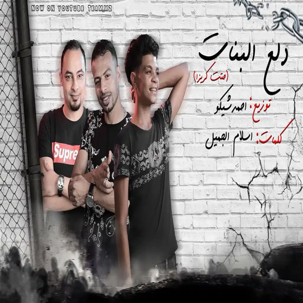 مهرجان دلع البنات (مع احمد شيكو)