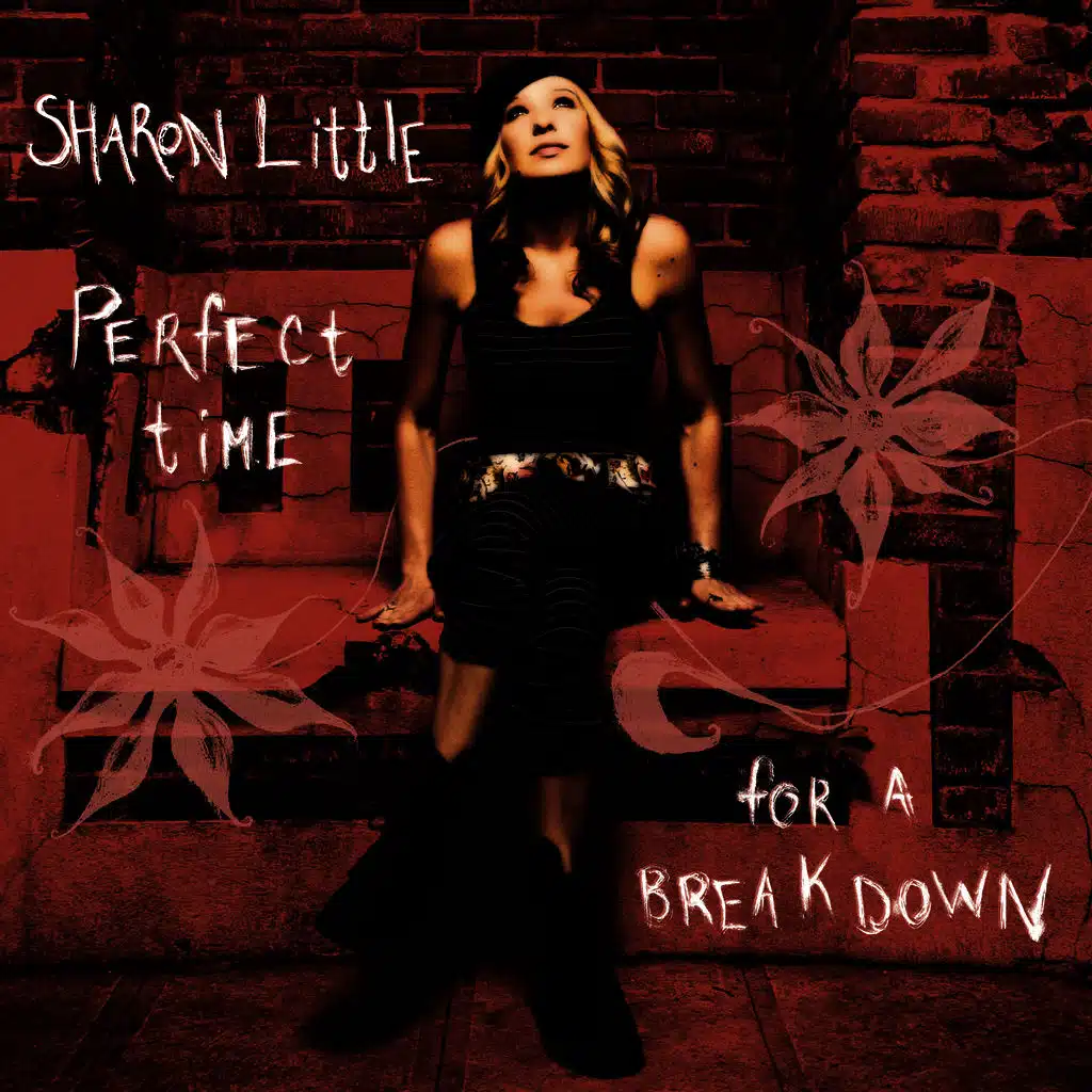 Perfect Time For A Breakdown