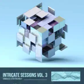 Intricate Sessions, Vol. 03, Unmixed (feat. Vadim Soloviev)