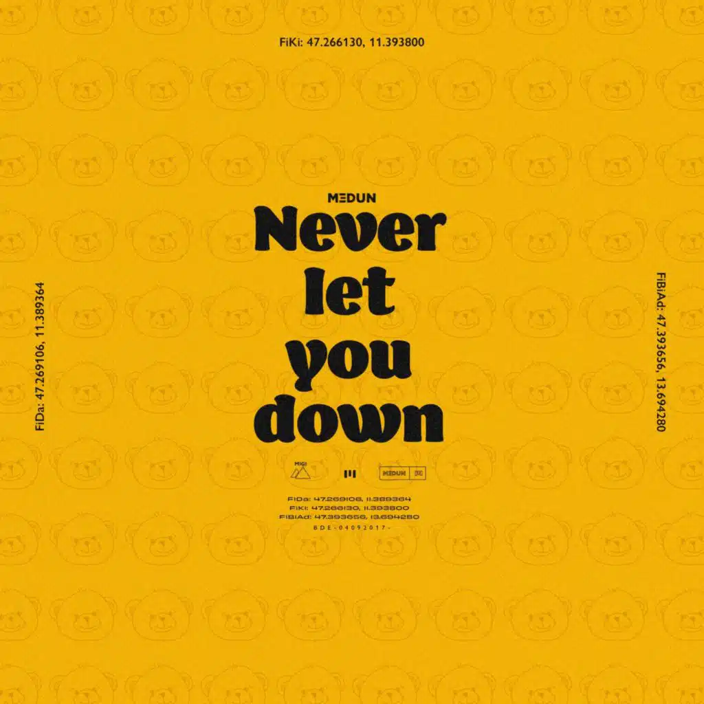 Never Let You Down (feat. OMVR)