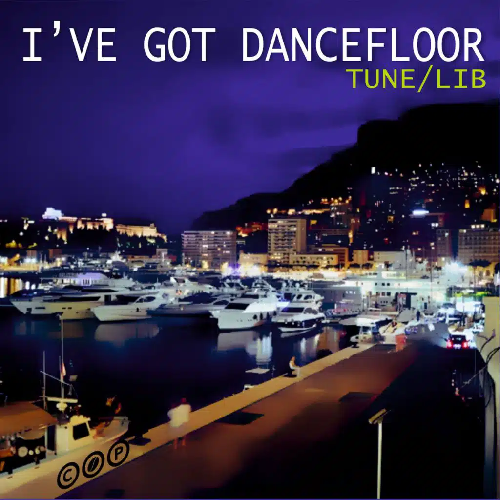 I've Got Dancefloor